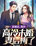 退婚后,我的高冷未婚妻后悔了