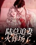 陆总追妻火葬场了