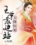 天降医妃，王爷靠边站