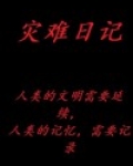 灾难日记