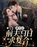 重生后,前夫日日求复合
