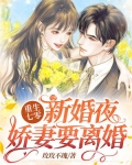 重生七零新婚夜,娇妻要离婚