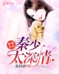 画地为牢:秦少太深情