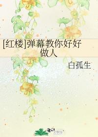 红楼弹幕教你好好做人白孤生