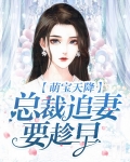 萌宝天降:总裁追妻要趁早