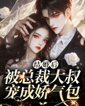 结婚后,被总裁大叔宠成娇气包
