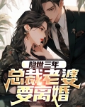 隐世三年,总裁老婆要离婚
