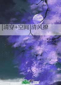 清穿清风撩人txt