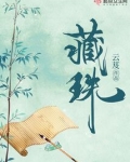 藏珠