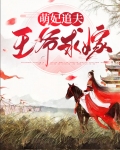 萌妃追夫：王爷求嫁