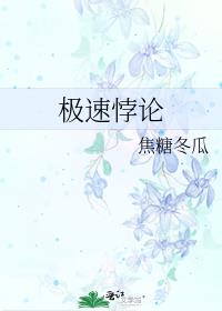 极速悖论一共多少集