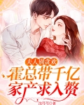 夫人别贪欢,霍总带千亿家产求入赘