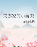 夫郎家的小娇夫