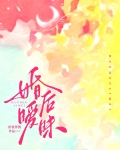婚后暧昧