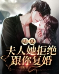 陆总,夫人她拒绝跟你复婚