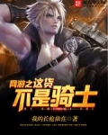 网游之这货不是骑士