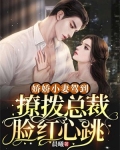 娇娇小妻驾到,撩拨总裁脸红心跳