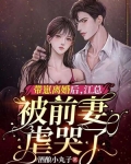 带崽离婚后,江总被前妻虐哭了
