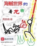 海贼世界的屠龙者