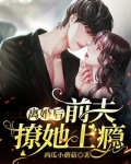 离婚后,前夫撩她上瘾