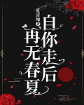 自你走后,再无春夏