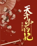 天才小药妃（芸汐传2）