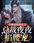 小甜妻娇软无力，总裁夜夜掐腰宠