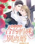 萌宝快递:合约妈咪别离婚