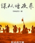 谍从暗夜来