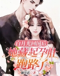 白月光回国后,她藏起孕肚跑路了