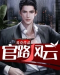 官路风云