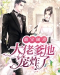 萌宝闹喜:大佬爹地宠炸了
