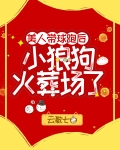 美人带球跑后小狼狗火葬场了