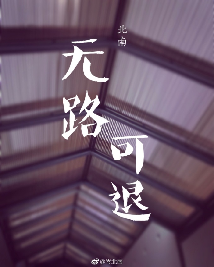 无路可退by北南讲的什么
