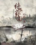 绝世轮回