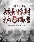 三国:开局被曹操封护国瑞兽