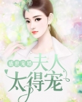 盛世宠婚:夫人太得宠
