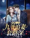 锦鲤三宝：九爷追妻套路深