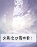 火影之冰雪帝君!