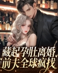 藏起孕肚离婚,前夫全球疯找
