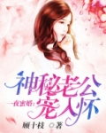 一夜蜜婚：神秘老公宠入怀