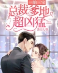 一胎三宝：总裁爹地超凶猛