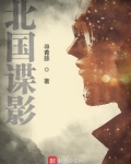 北国谍影