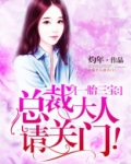 一胎三宝：总裁大人请关门！
