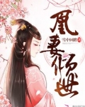凰妻倾世