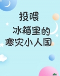 投喂冰箱里的寒灾小人国