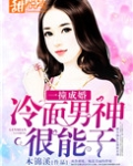 一撞成婚:冷面男神很能干