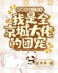 锦鲤妹妹三岁半,我是全京城大佬的团宠