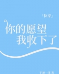 你的愿望我收下了[快穿]