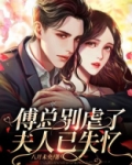 傅总别虐了,夫人已失忆